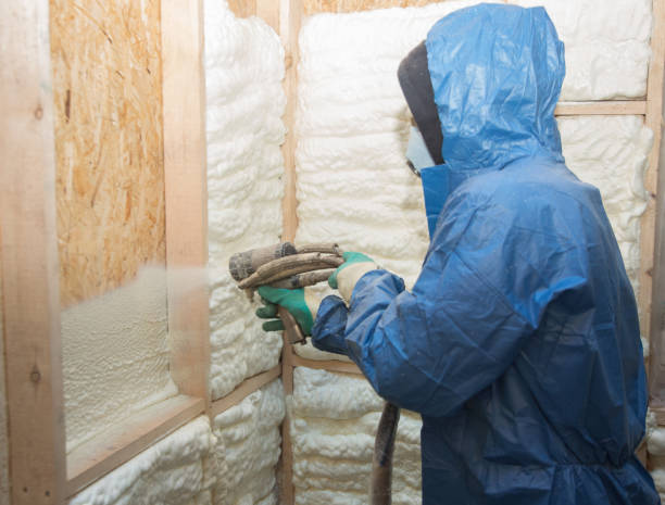 Best Basement Insulation  in Fruit Hill, OH